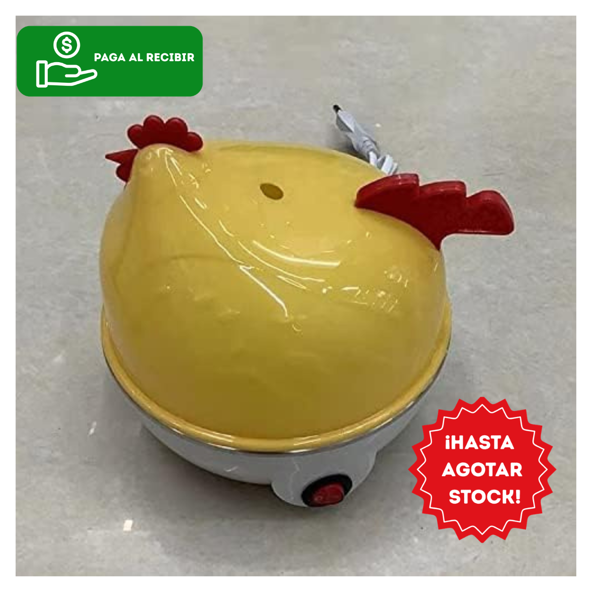 GALLINA HERVIDORA DE HUEVOS